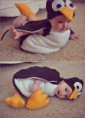 /album/milashki-/zfhdwvb8t8i-jpg/